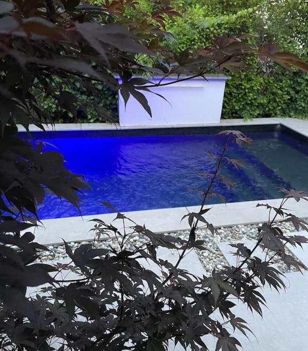 Villa Moderne Avec Piscine Albi Kültér fotó